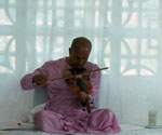 violin